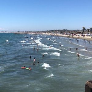 Meet your Posher, Alexander